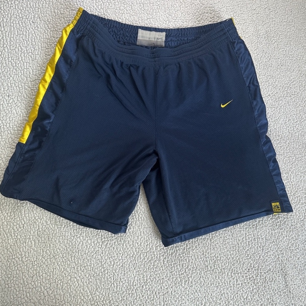 Vintage Nike Michigan University Basketball Shorts Men’s L Retro